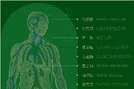 悦·美术馆｜“七窍”——中央美院实验艺术学院研究生八人展